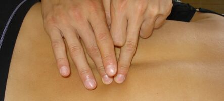 Reference ke kurzu: Bowenova masáž od Marcela Mišáková